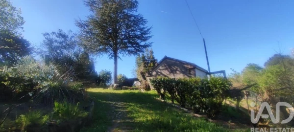 Quinta T3 para Venda em Cornes