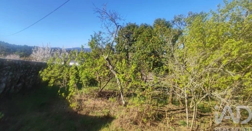 Quinta T3 para Venda em Cornes