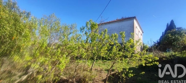 Quinta T3 para Venda em Cornes