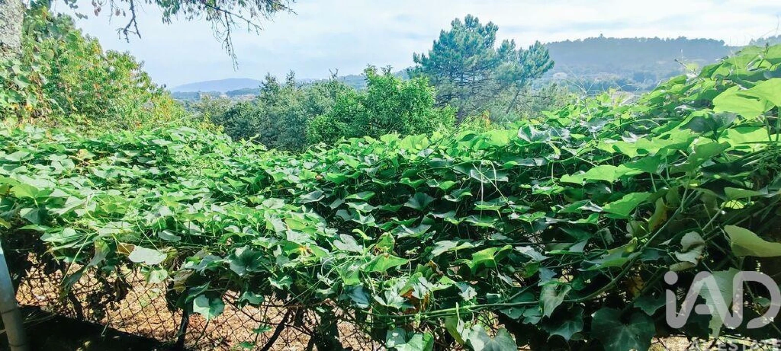 Quinta T3 para Venda em Cornes Foto 23