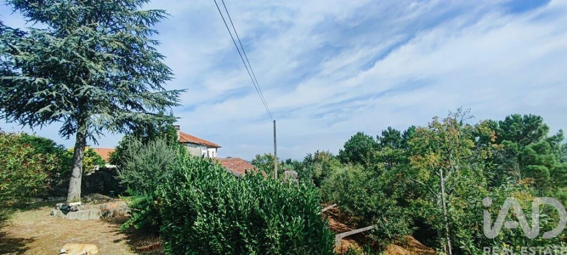 Quinta T3 para Venda em Cornes Foto 26