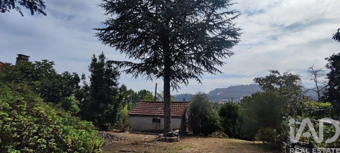 Quinta T3 para Venda em Cornes Foto 21