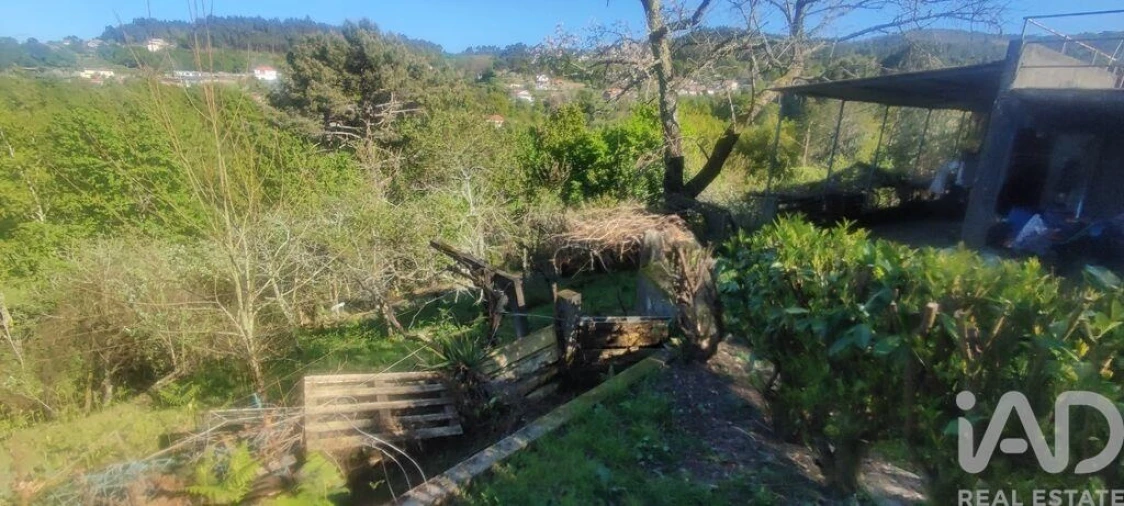 Quinta T3 para Venda em Cornes Foto 35