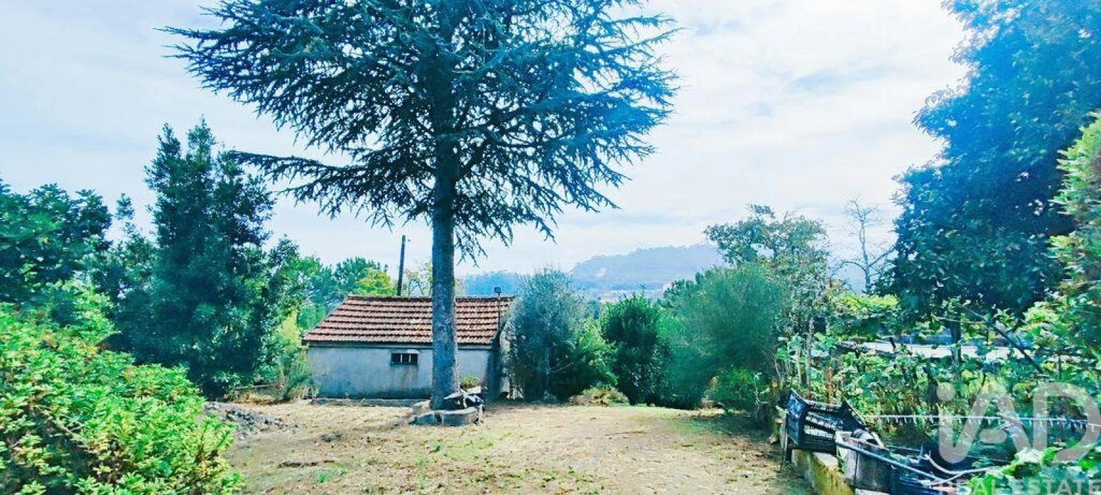 Quinta T3 para Venda em Cornes Foto 1