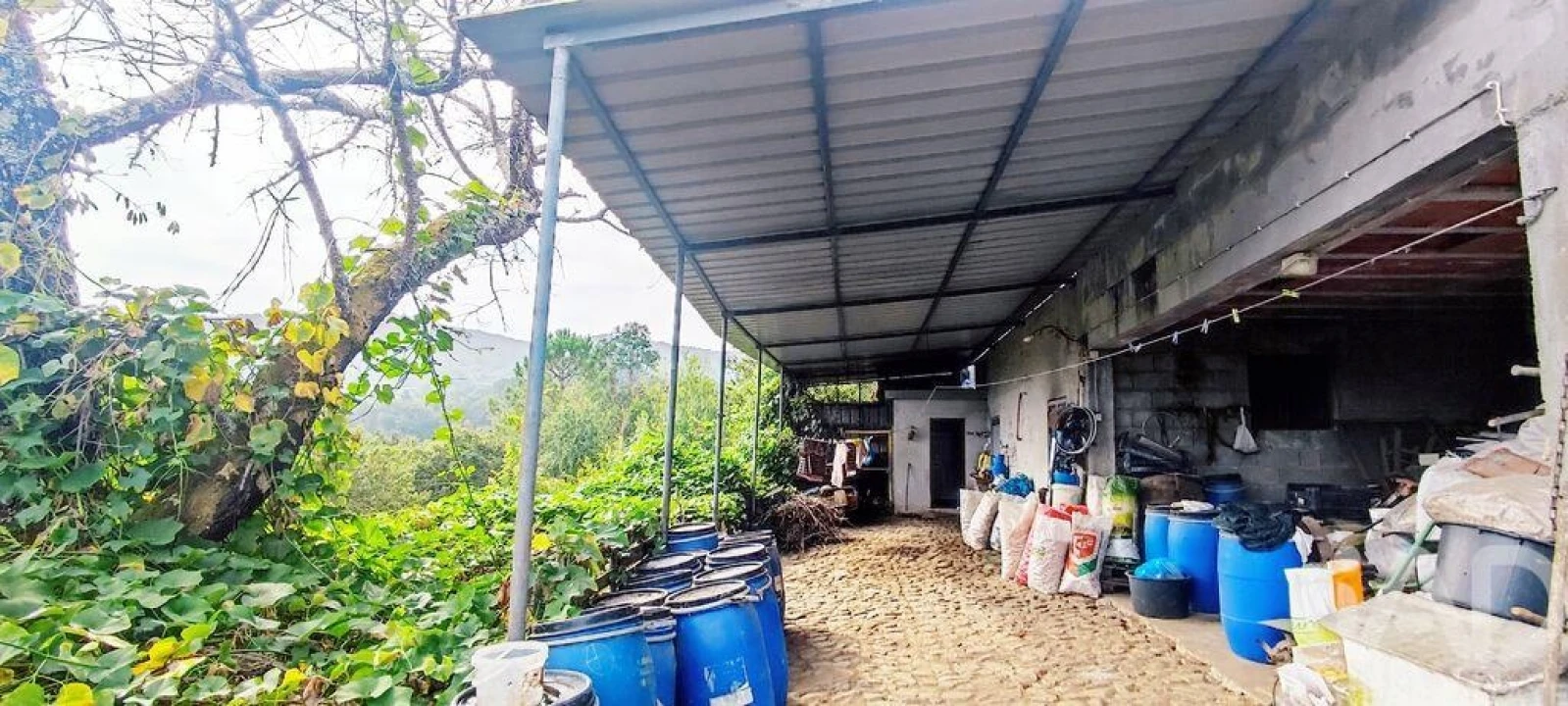 Quinta T3 para Venda em Cornes Foto 8