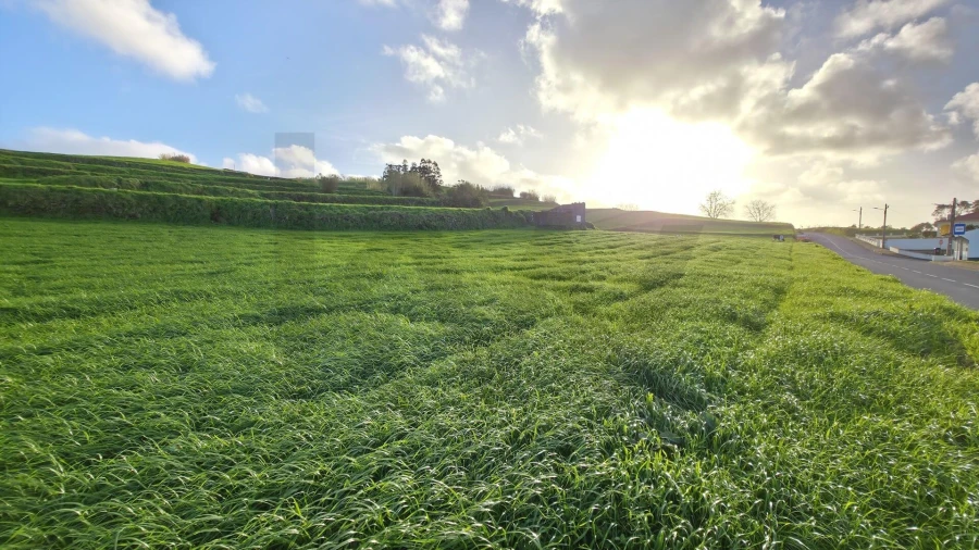 Terreno para Venda em Santana Foto 11