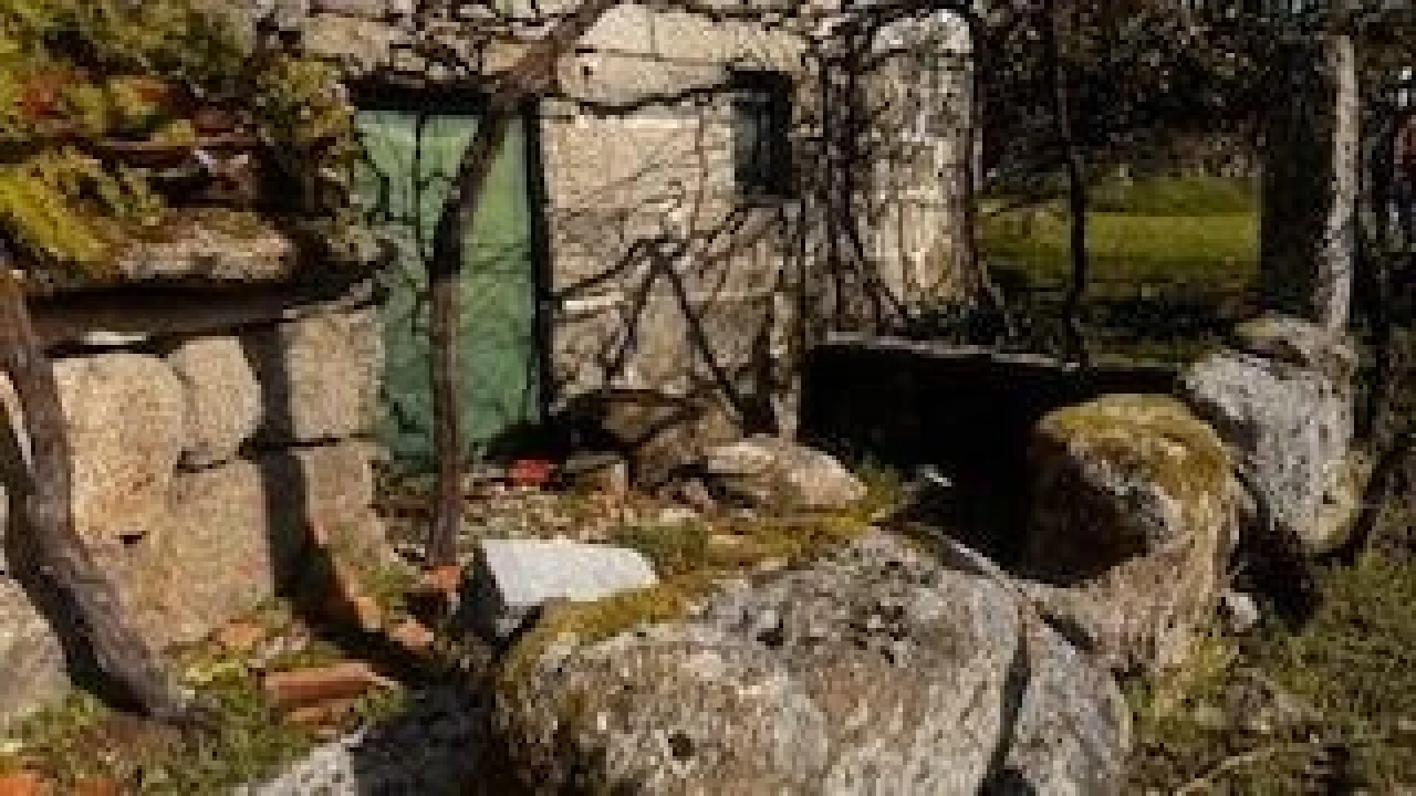 Quinta T4 para Venda em Campelo e Ovil Foto 10