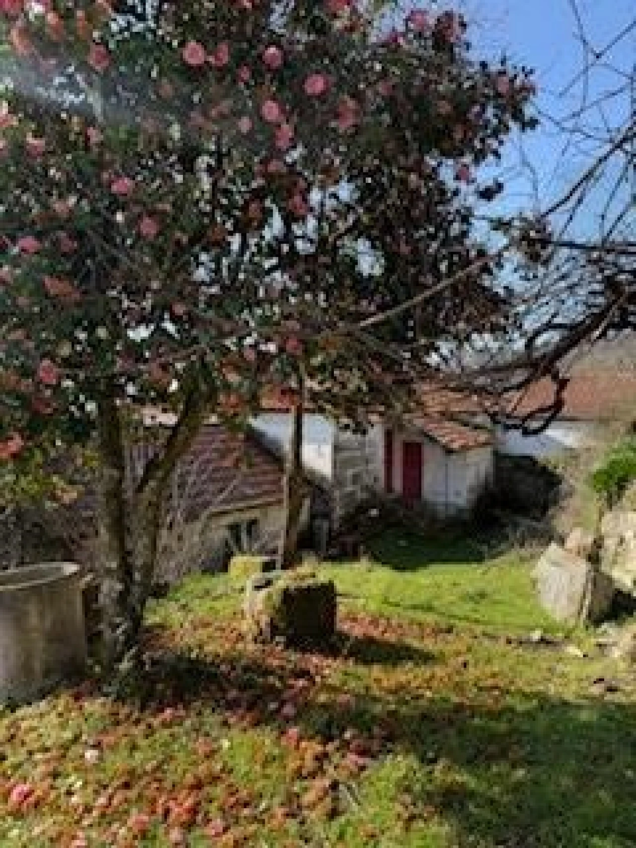 Quinta T4 para Venda em Campelo e Ovil Foto 19