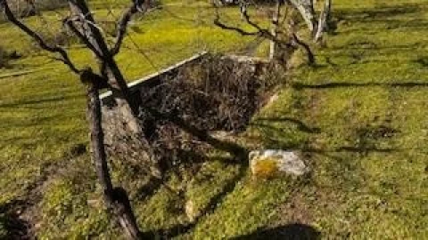 Quinta T4 para Venda em Campelo e Ovil