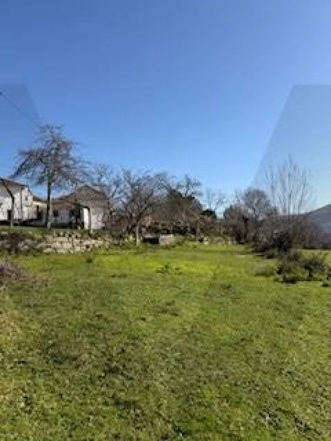 Quinta T4 para Venda em Campelo e Ovil