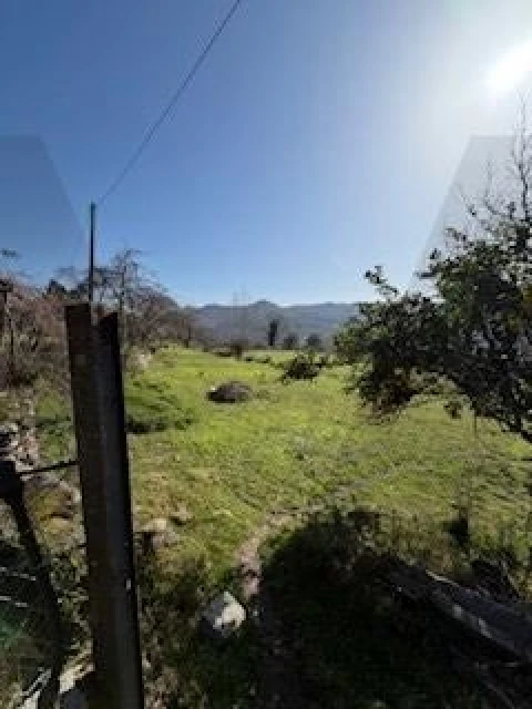 Quinta T4 para Venda em Campelo e Ovil