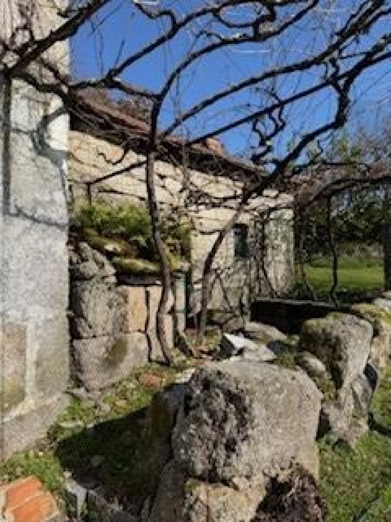 Quinta T4 para Venda em Campelo e Ovil Foto 15