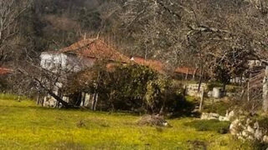 Quinta T4 para Venda em Campelo e Ovil Foto 13