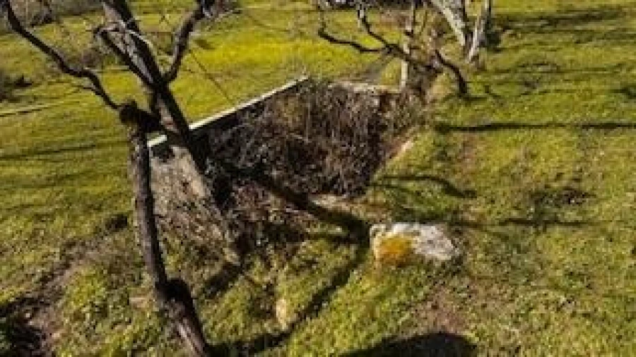 Quinta T4 para Venda em Campelo e Ovil Foto 11