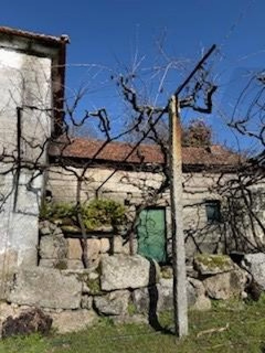 Quinta T4 para Venda em Campelo e Ovil Foto 14