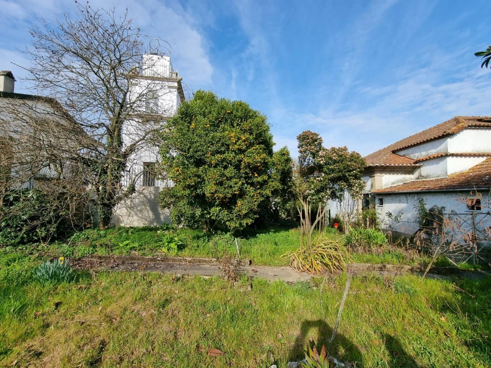Prédio para Venda em Mesão Frio (Santo André) Foto 26