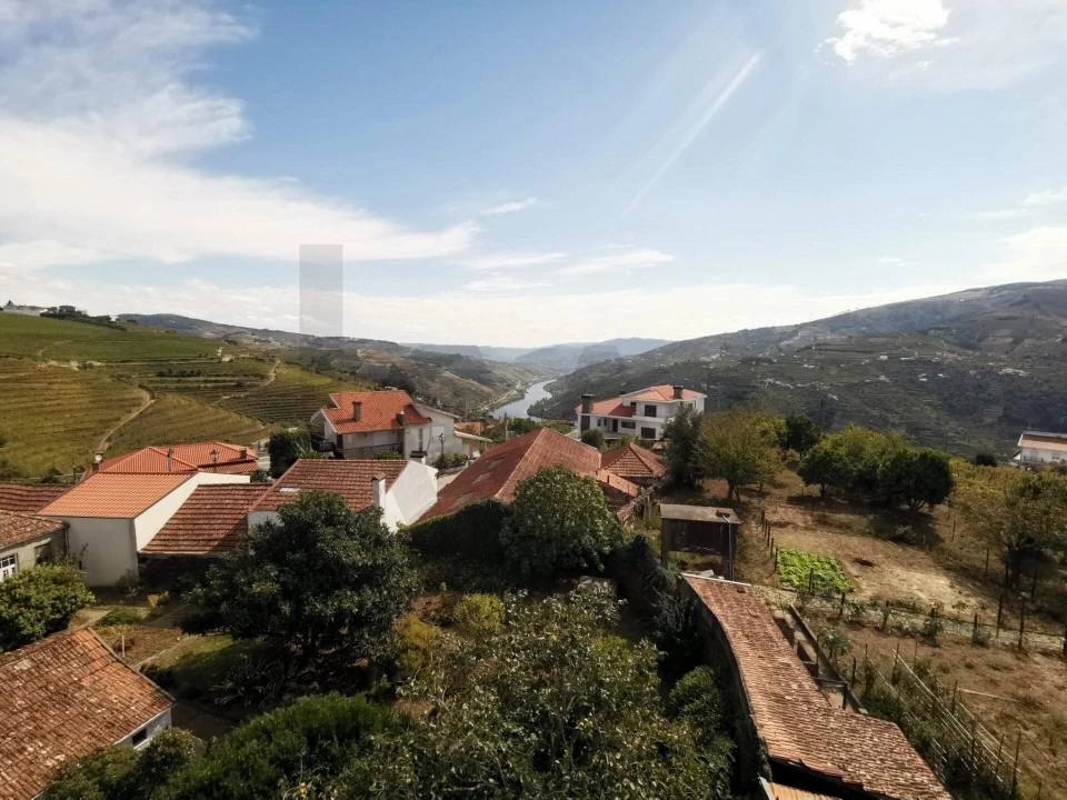 Prédio para Venda em Mesão Frio (Santo André) Foto 30