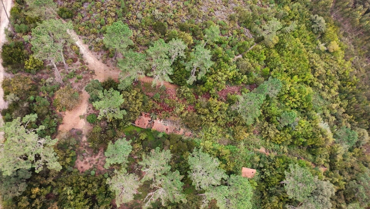Terreno para Venda em Vau Foto 10