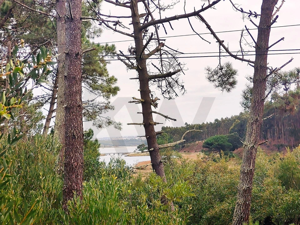 Terreno para Venda em Vau Foto 11