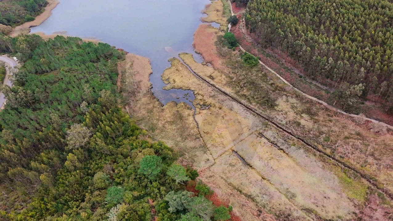 Terreno para Venda em Vau Foto 8