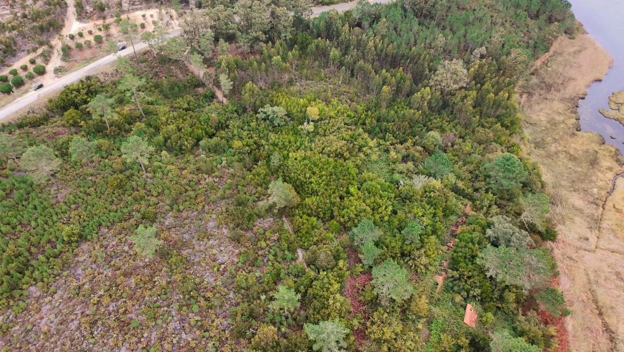 Terreno para Venda em Vau Foto 7