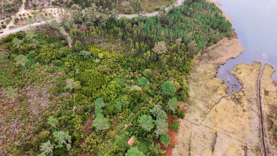 Terreno para Venda em Vau Foto 9