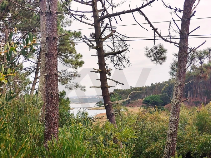 Terreno para Venda em Vau Foto 11