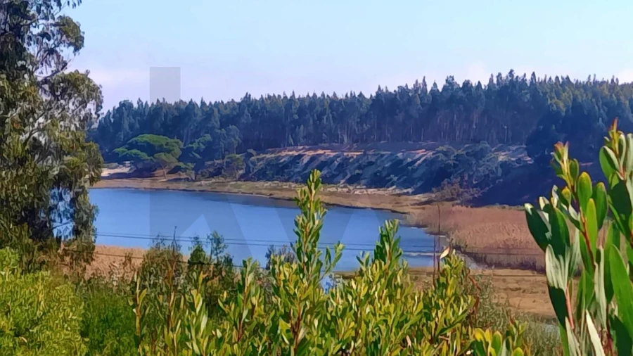 Terreno para Venda em Vau Foto 4