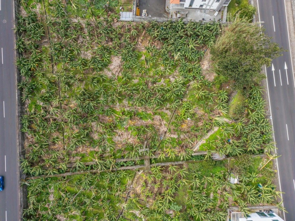 Terreno para Venda em Ribeira Brava Foto 5