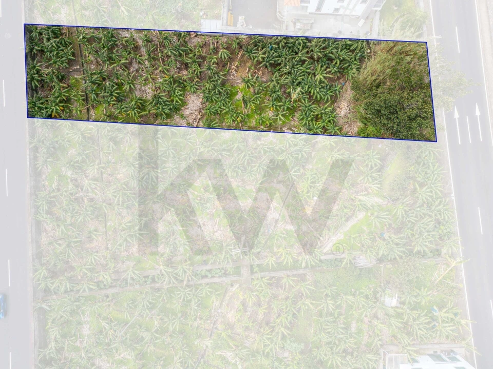 Terreno para Venda em Ribeira Brava Foto 6