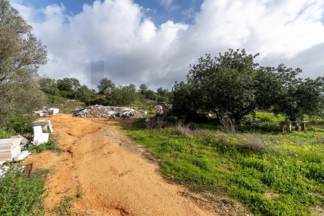 Terreno para Venda em Loule (São Sebastião) Foto 8