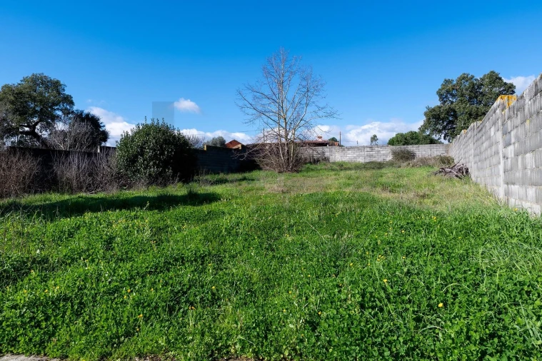 Moradia T5 para Venda em Arneiro das Milhariças Foto 39