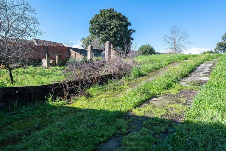 Moradia T5 para Venda em Arneiro das Milhariças Foto 38