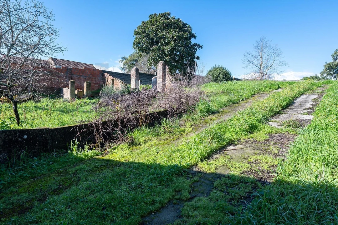 Moradia T5 para Venda em Arneiro das Milhariças Foto 38