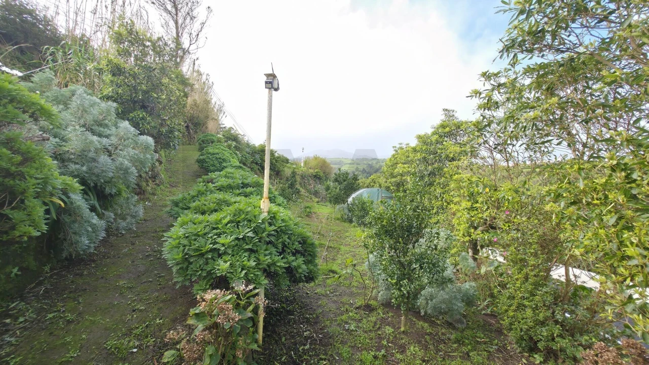 Terreno para Venda em Nordeste Foto 5