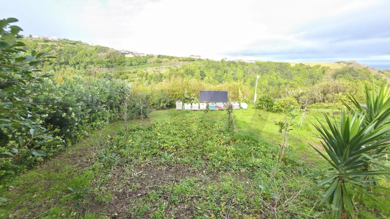 Terreno para Venda em Nordeste Foto 14
