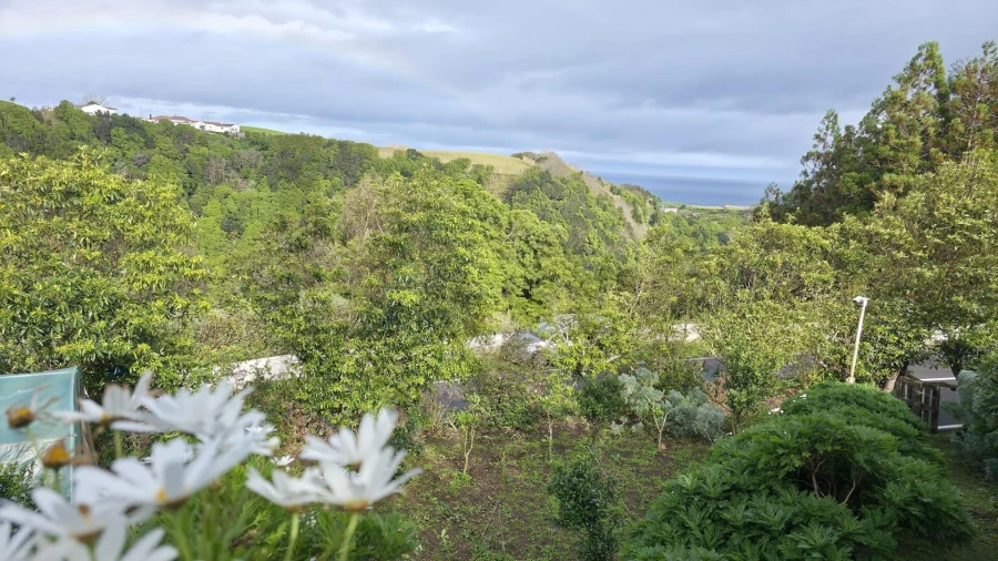 Terreno para Venda em Nordeste Foto 4