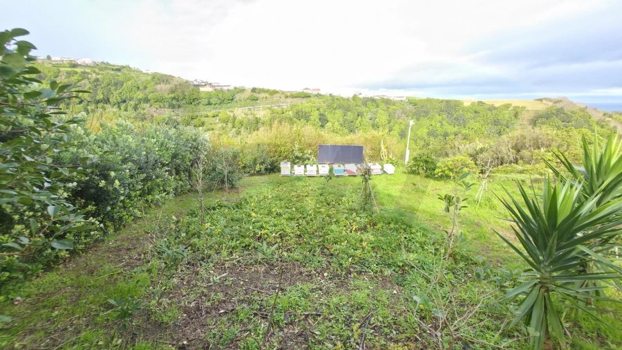 Terreno para Venda em Nordeste Foto 14