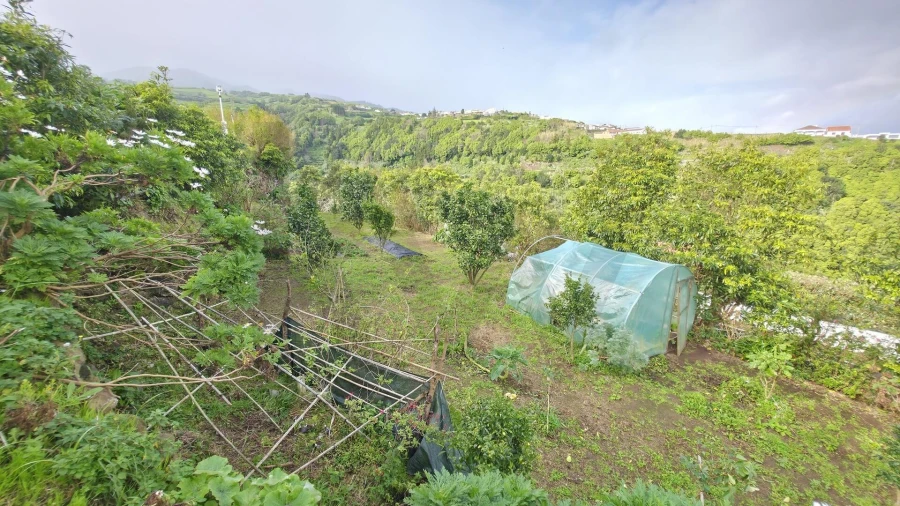 Terreno para Venda em Nordeste Foto 9