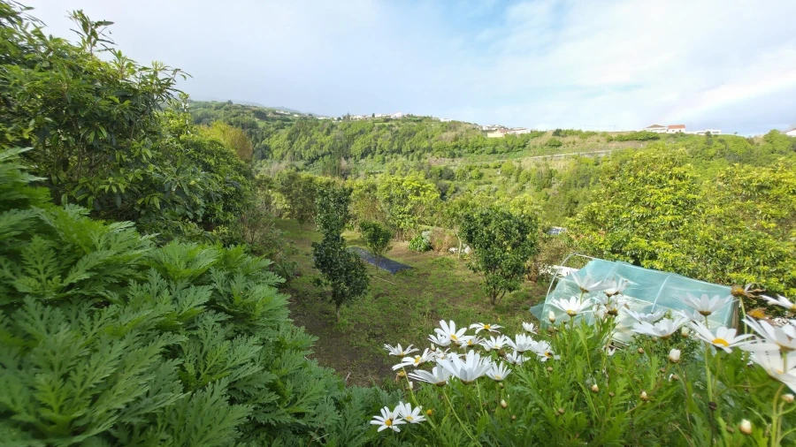 Terreno para Venda em Nordeste Foto 16
