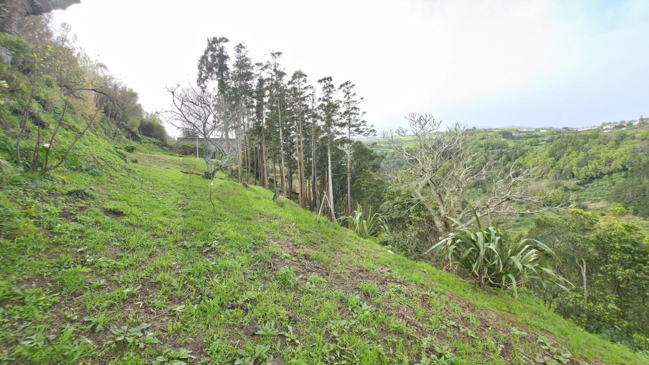 Terreno para Venda em Nordeste Foto 12