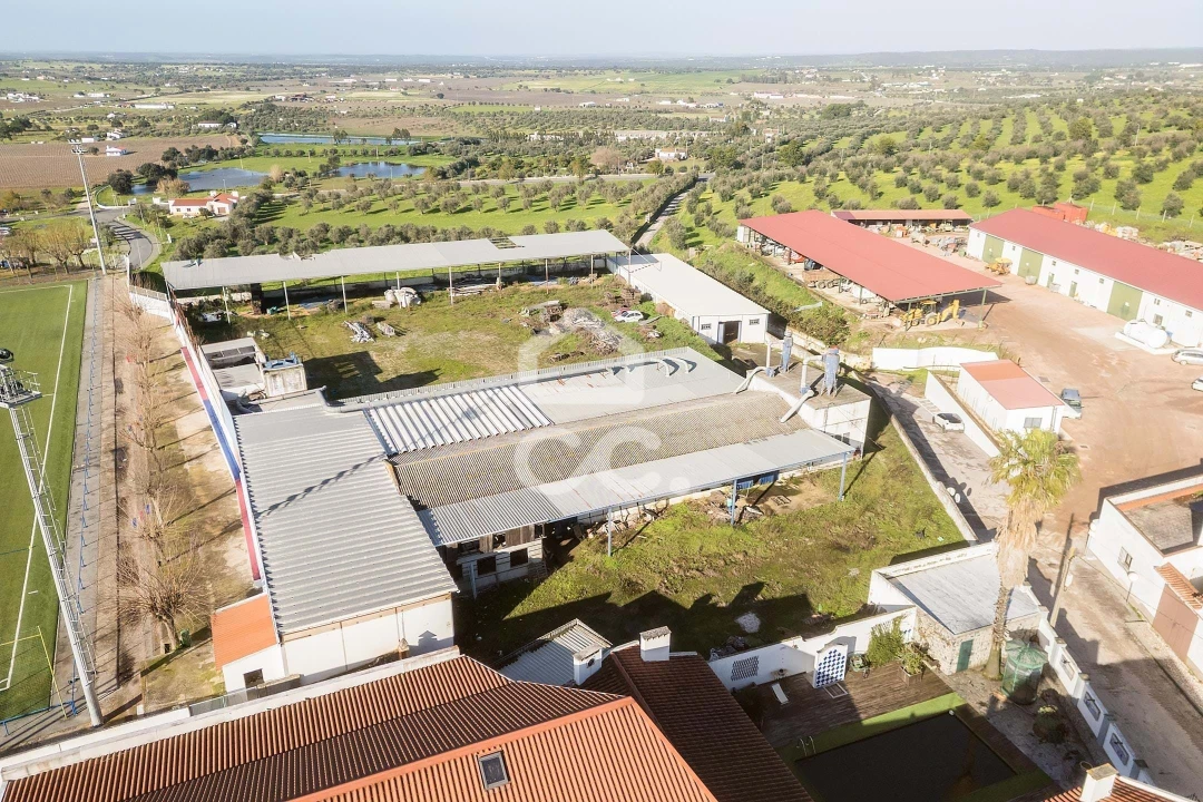 Armazém para Venda em Redondo Foto 38