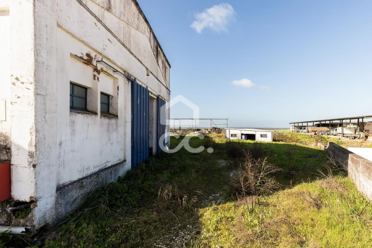 Armazém para Venda em Redondo Foto 24