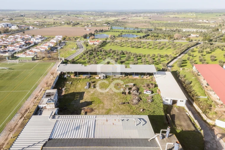 Armazém para Venda em Redondo Foto 37