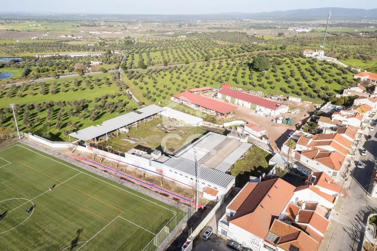 Armazém para Venda em Redondo Foto 39