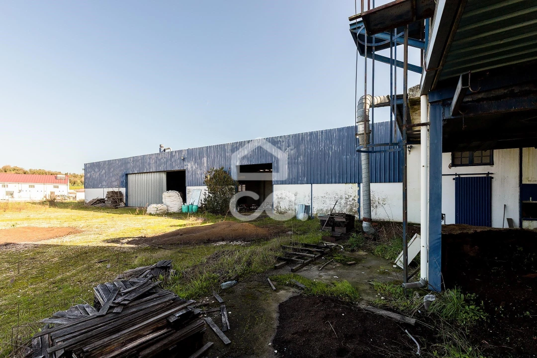 Armazém para Venda em Redondo Foto 11