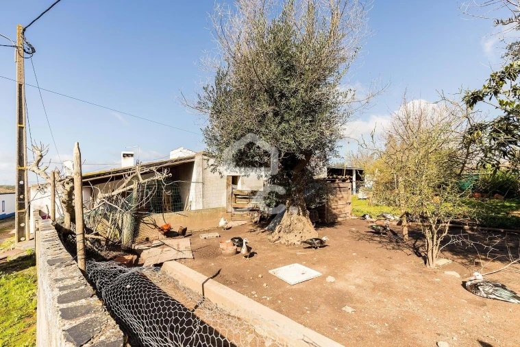 Moradia T4 para Venda em São Domingos de Ana Loura Foto 21