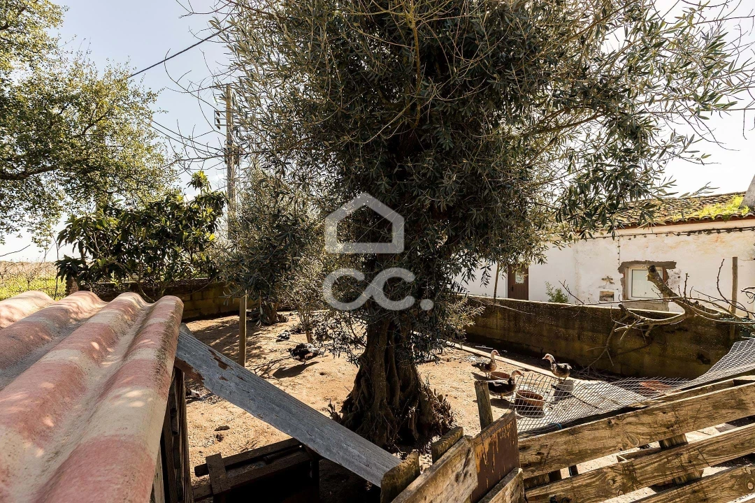 Moradia T4 para Venda em São Domingos de Ana Loura Foto 20