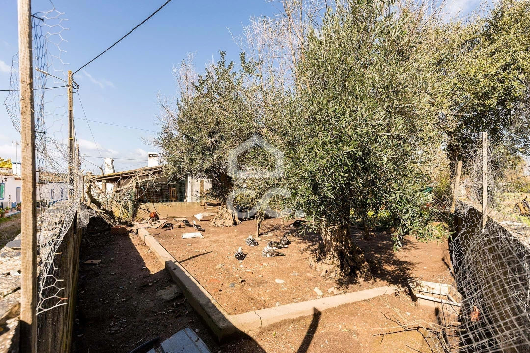 Moradia T4 para Venda em São Domingos de Ana Loura Foto 22