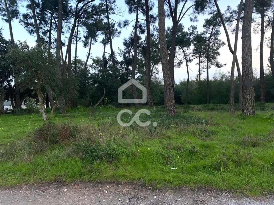 Terreno para Venda em Santo Antonio da Charneca Foto 3